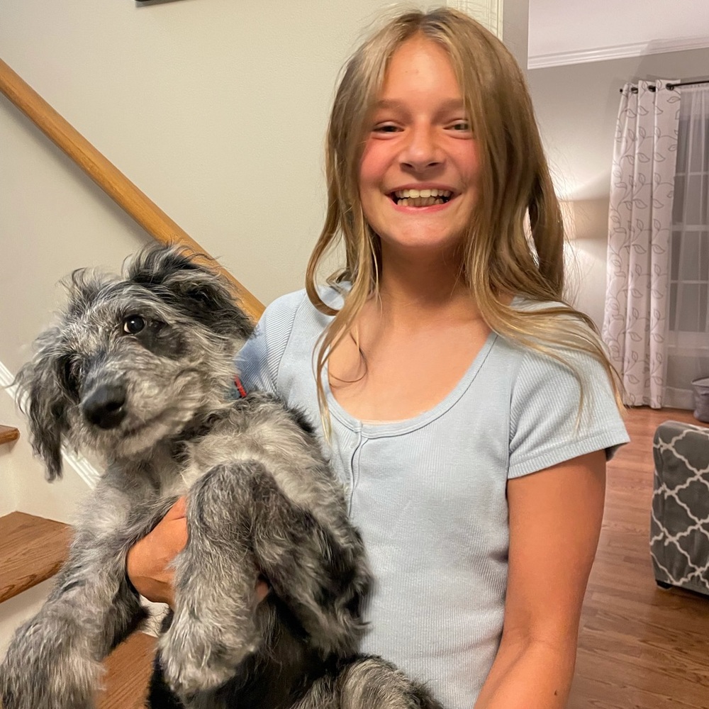 Meet your Posher, Caroline